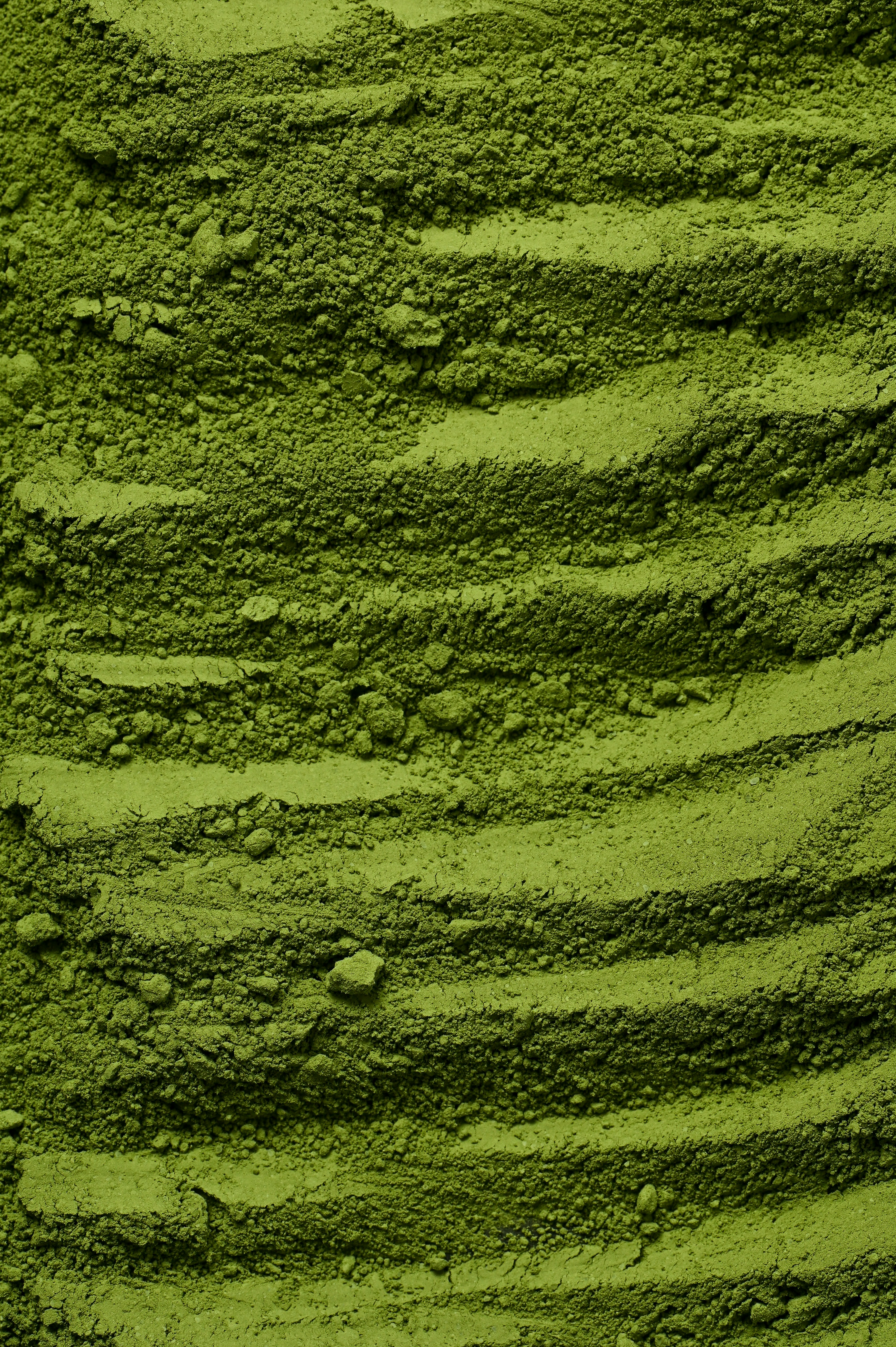 Matcha & Discipline